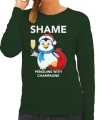 Pinguin sweater outfit shame penguins with champagne groen dames